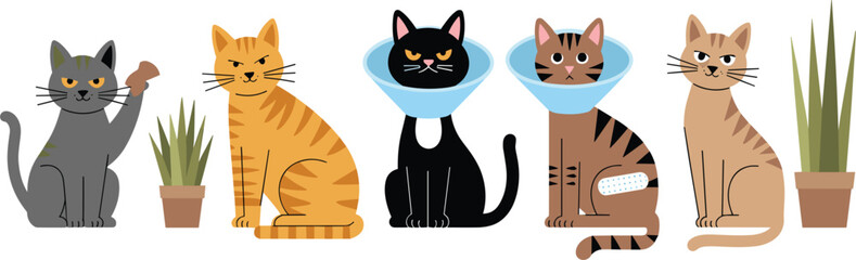Cute sick and injured cats vector illustration collection featuring funny cartoon felines with veterinary cones and bandages isolated on white background. © Josna