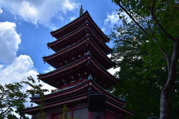 Obraz premium 千葉県 松戸市の本土寺～紫陽花のある風景
