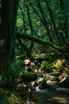 Woman Sitting by Mossy Forest Stream &ndash; Peaceful Nature Retreat in Green Woods