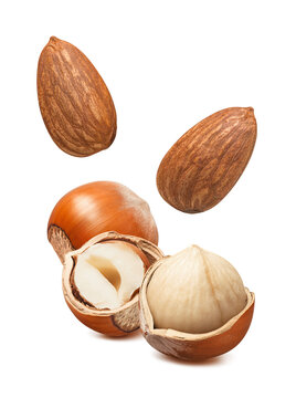 Almond and hazelnut nuts in nutshell isolated on white background. Real photography