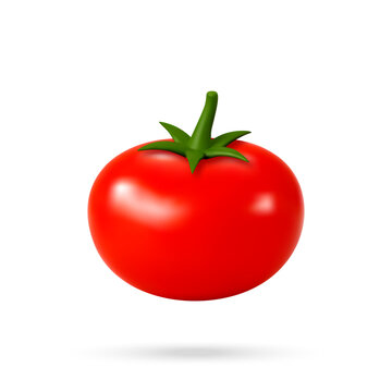 Red tomato isolated on white background. 3d vector illustration of fresh vegetable. Realistic food icon for menu design, culinary blog, organic farming and grocery market concept.