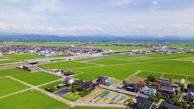 【ドローン空撮・緩やかな上昇】夏の青空と青々とした水田が広がる加賀平野の田園風景と街並み（石川県小松市北部） / Aerial Drone Shot Rising Slowly over Lush Green Rice Fields and Rural Townscape in Kaga Plain, Komatsu City, Ishikawa Prefecture, Japan in Summ