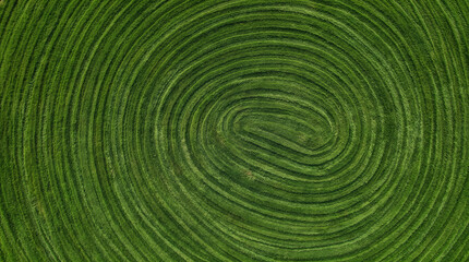 Fototapeta premium Mesmerizing top-down aerial view of a vibrant green agricultural field with intricate swirling circular patterns. This abstract natural texture provides an excellent background for ecological, farming