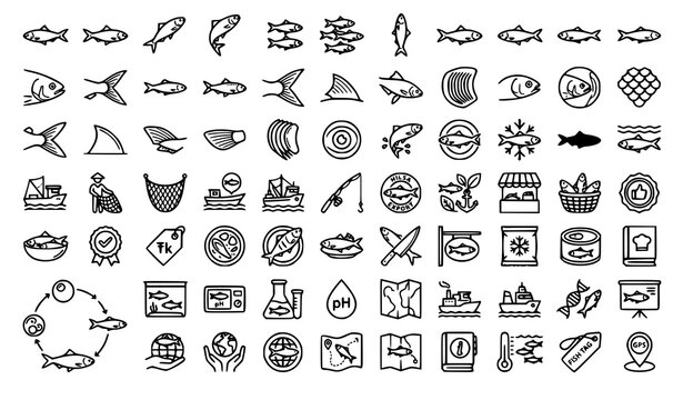 Hilsa Shad Outline Icons Collection Editable Stroke Fish Vector Set