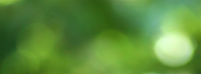 Spring green bokeh background with blurred foliage and glowing sunlight. Blurry summer blooming garden or green forest with soft focus and dreamy light. Realistic vector bg © janevasileva