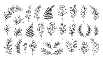 Fototapeta premium Stylized botanical line art vector collection