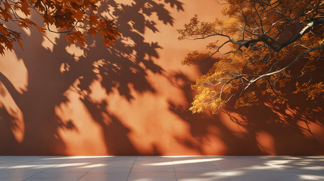 Minimalist luxury autumn backdrop, a clean light terracotta wall overlayed with beautiful sharp shadows of tree branches and falling leaves under warm sunlight.