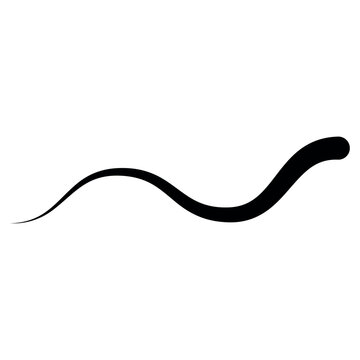 Black sinusoidal oscillation curve line waveform signal frequency pattern