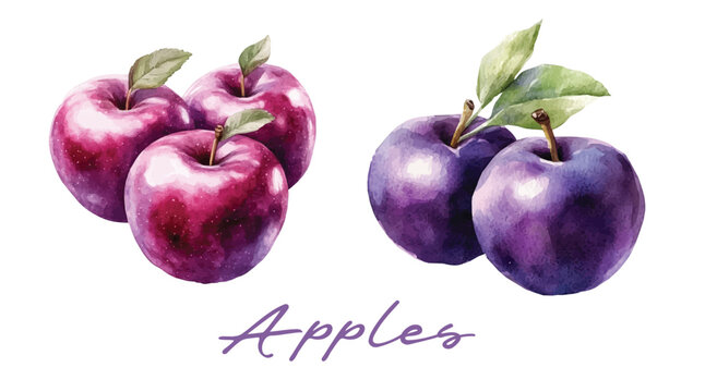 Art Minimal yet artistic elements for creative designs. hand-drawn paint isolated on a white background, Simple Illustration, A creative painting of velvet apple fruit set, EPS format