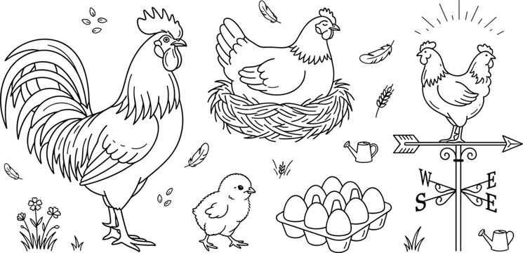 Poultry farming line art vector collection with rooster hen chick egg carton and weather vane on white