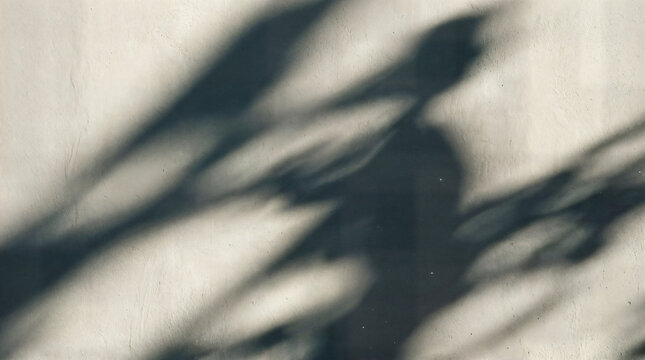Abstract shadow pattern on beige wall, soft blurred sunlight silhouettes, minimalist neutral background texture for design