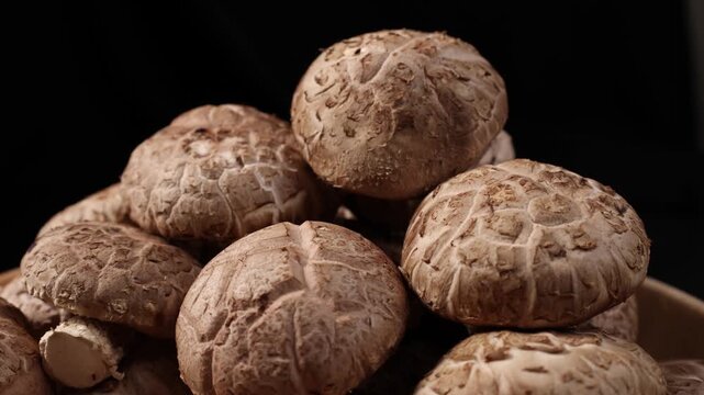 Close-up of fresh shiitake mushrooms arranged on a rustic wooden table. Natural edible mushrooms with rich texture and earthy flavor, widely used in Asian cuisine and healthy cooking. Ideal for themes