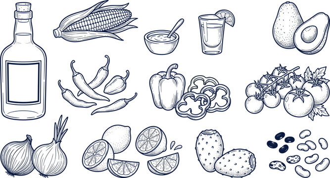 Mexican Food Ingredient Set with Chili Corn Avocado and Tequila Hand Drawn Vector Illustration