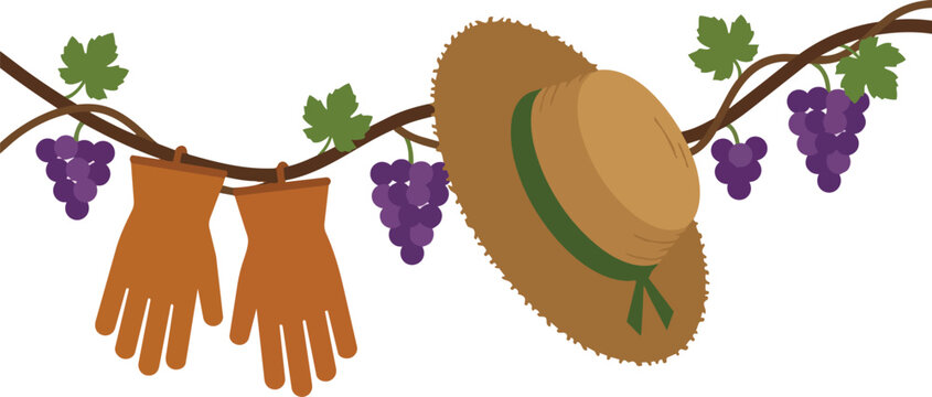 Whimsical Flat Design Vector Illustration of Straw Hat and Gardening Gloves with Grapes on Vine farm accessories fruit summer outdoor
