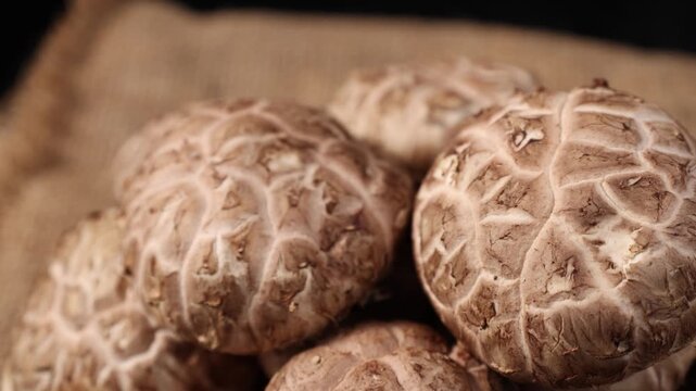 Close-up of fresh shiitake mushrooms arranged on a rustic wooden table. Natural edible mushrooms with rich texture and earthy flavor, widely used in Asian cuisine and healthy cooking. Ideal for themes