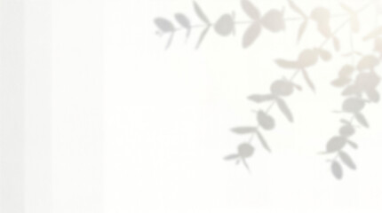 Fototapeta premium Minimalist botanical leaf shadow on white wall, soft beige foliage silhouette, airy nature background texture for design