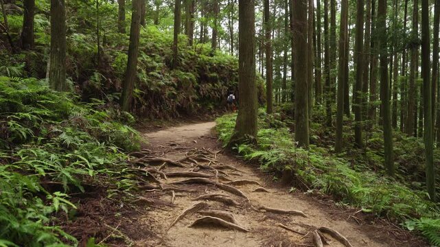 World Heritage Kumano Kodo Nakahechi Route: From Fushiogami-oji Shrine Site to Kumano Hongu Taisha, Tanabe, Wakayama, Japan　世界遺産・熊野古道中辺路「伏拝王子跡から熊野本宮大社へ」和歌山県田辺市