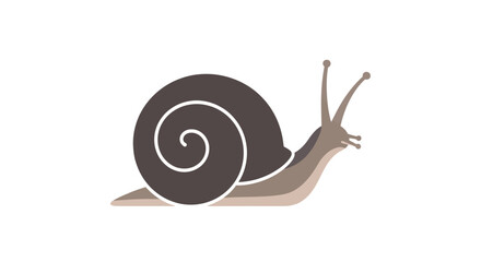Snail Vector Illustration © design.idn