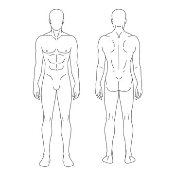 Minimal male body anatomy outline template with front and back views and faceless design. Clean vector illustration for medical education, healthcare, fitness, anatomy references and body measurement 