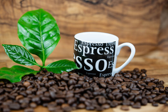 frisch ger&ouml;stete Kaffeebohnen auf Olivenholz