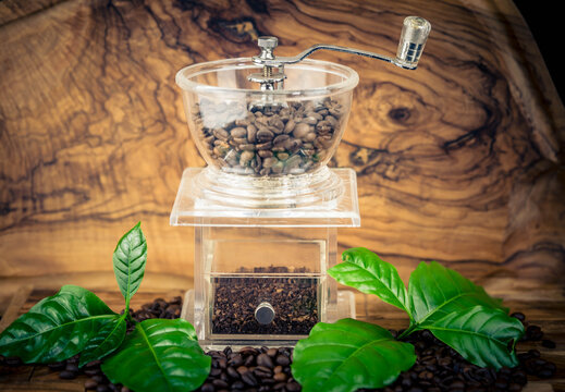 frisch ger&ouml;stete Kaffeebohnen auf Olivenholz