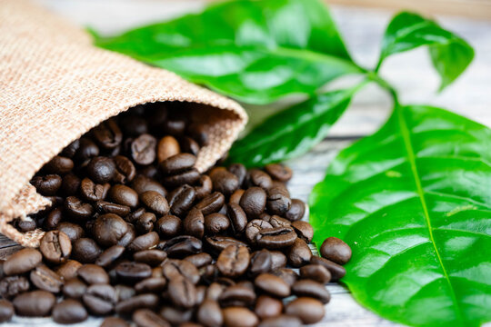 frisch ger&ouml;stete Kaffeebohnen auf Olivenholz