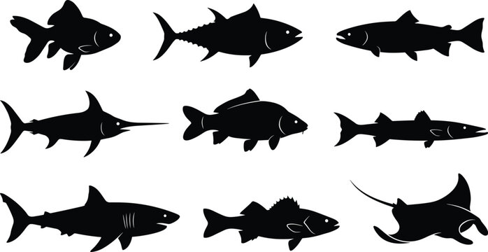 Fish Silhouette Vector Set Featuring Diverse Aquatic Species in Black and White