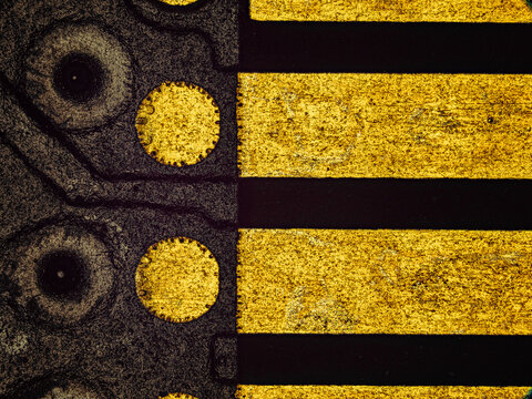 Abstract macro view of gold connector contacts on computer memory module