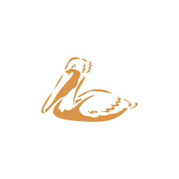 A stylized, modern vector illustration of a pelican in a resting or swimming pose, representing nature, marine life, coastal themes, and grace.