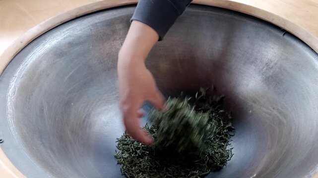 Traditional Chinese tea making techniques involve workers stir frying freshly picked green tea in iron pots