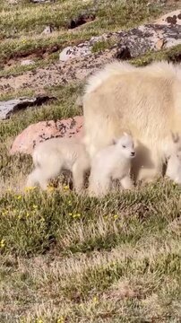 mother and baby canada