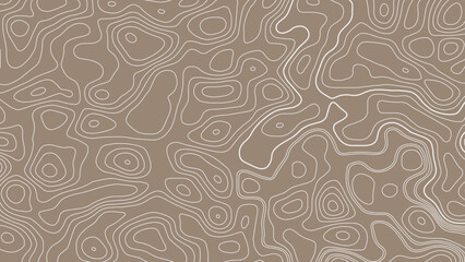 Seamless topographic map texture. Cartography elevation maps contour hiking, topography contoured terrain lines trail, longitude topographical landscape geographic  background. Vector design. © Mst
