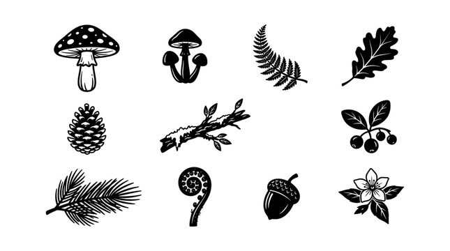 Botanical Leaf Icons Set with Black Ink Mushrooms, Pine Needles, Acorns, and Pinecone Symbols on White Background
