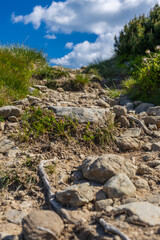 Fototapeta premium Rocky mountain trail path on a grassy alpine slope under blue sky for outdoor background and hiking banner design
