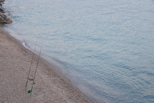 Canne da pesca