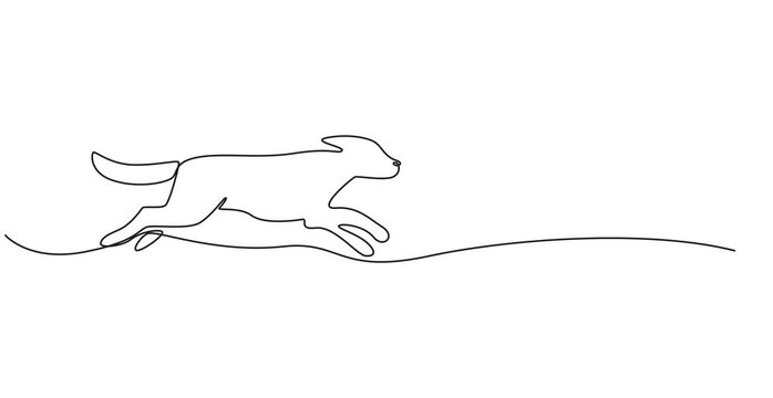 Animated self drawing  of Continuous one line drawing art dog animation pet heart line art. Dog drawing one line outline print veterinary puppy walk footprint running head logo bulldog animation,4K 