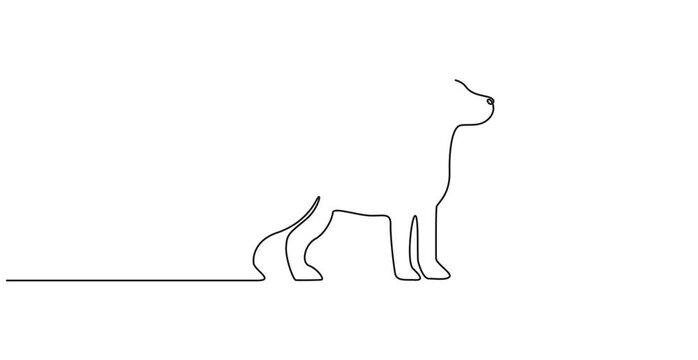 Animated self drawing  of Continuous one line drawing art dog animation pet heart line art. Dog drawing one line outline print veterinary puppy walk footprint running head logo bulldog animation,4K 
