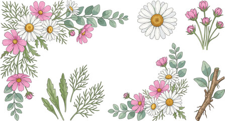Obraz premium Watercolor Chamomile Daisy and Pink Cosmos Flower Clip Art Set with Botanical Corners Eucalyptus Branches Leaves Buds and Roots Design Elements