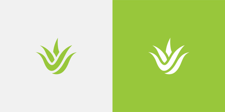 Aloe vera plant logo design on white and green background.