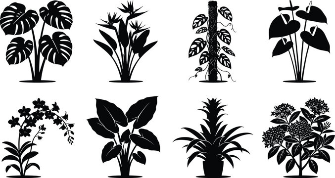Tropical and Ornamental Plant Silhouettes Featuring Vines Flowers and Decorative Foliage
