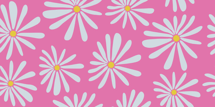 Pink Daisy Flower Floral Background