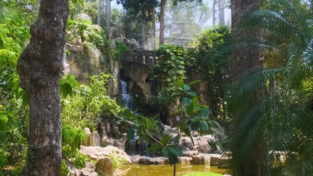 Waterfall surrounded by tropical plants and rocks in safari park on Phu Quoc Island, Vietnam. Rainforest scenery, nature backgrounds, ecotourism, landscape design and tropical environment concept