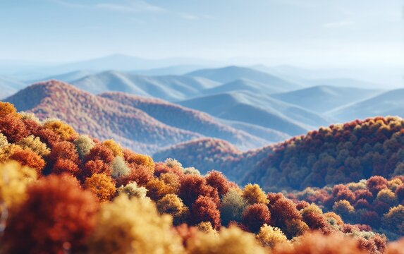 Enchanting Countryside with Majestic Copper Beech Trees in Autumn