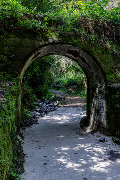 Hiking path in the laurel forest Cubo de La Galga on La Palma, Canary Islands, Spain.