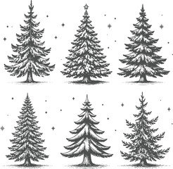 Obraz premium Vintage Christmas Pine Tree Set Engraving Vector – Hand Drawn Evergreen Fir Collection in Retro Woodcut Style