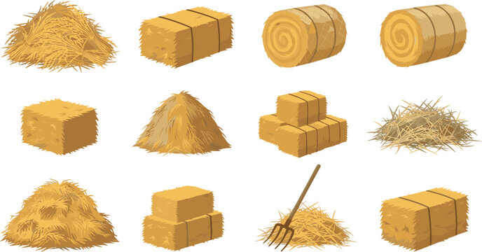 Haystack and Farm Hay Bales Vector Illustration Set Featuring Square Bales Round Bales Fodder Piles and a Pitchfork Icon