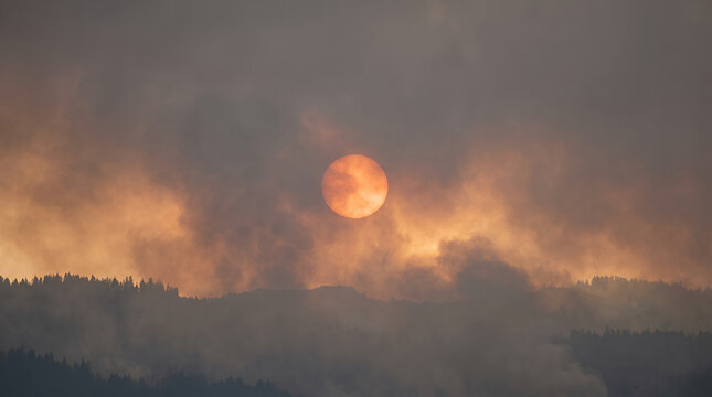 Smoky sunset through forest during wildfire event  