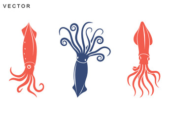 Squid vector icon, Squid silhouette, Squid octopus vector illustration © Badman