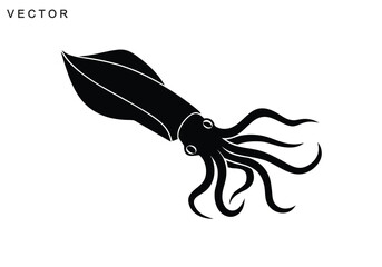Squid vector icon, Squid silhouette, Squid octopus vector illustration © Badman