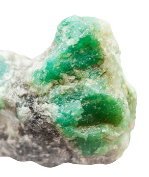 specimen of mineral from geological collection - unworked emerald (green beryl) crystals on quartz rock close-up isolated on white background from Pakistan